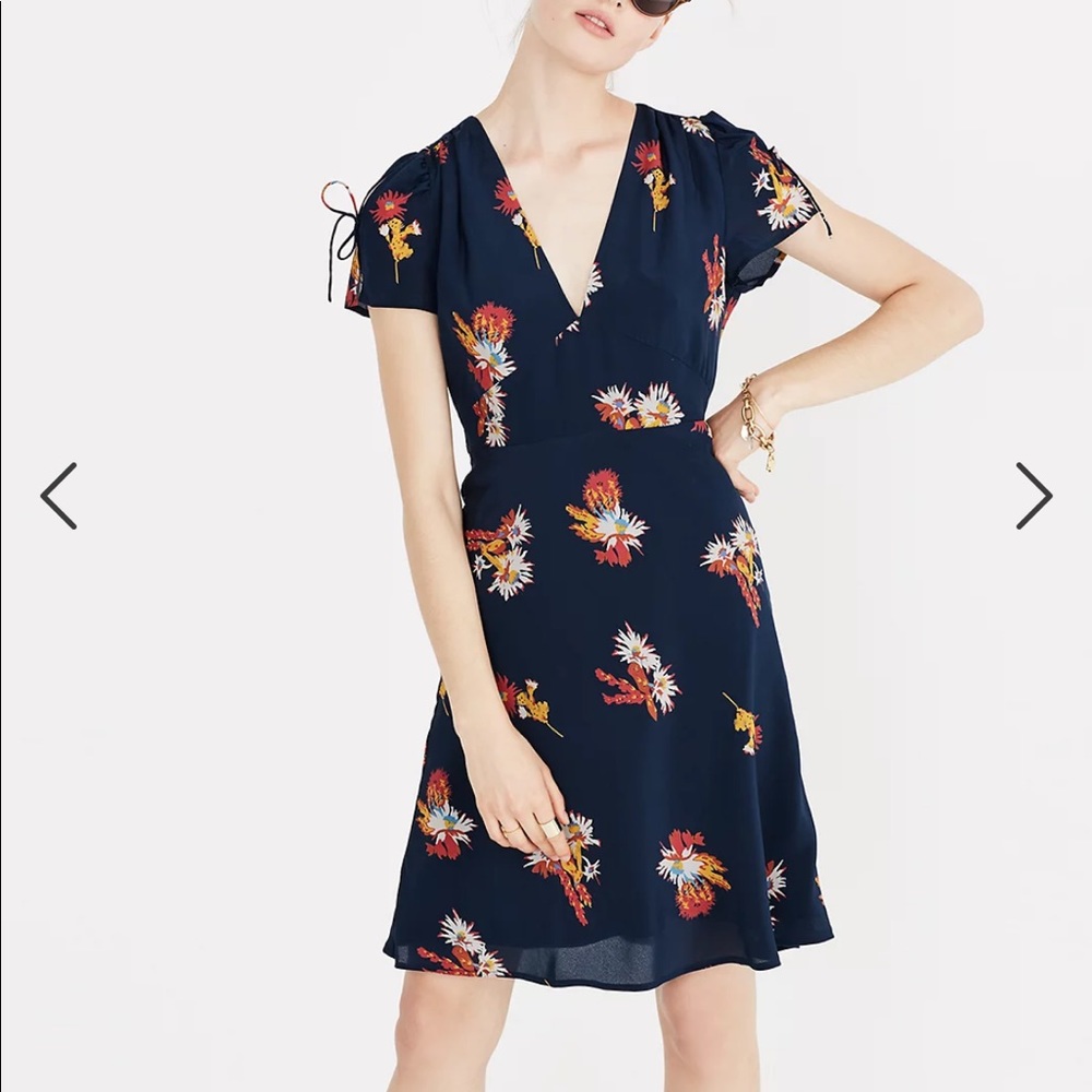 Madewell Silk Poppy Dress